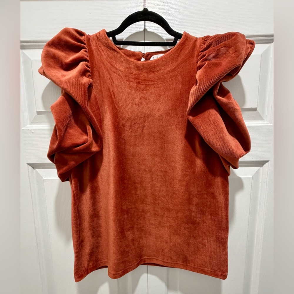 NWOT THML Terracotta Puff Sleeve Blouse